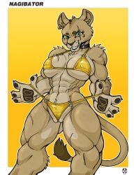abs anthro bikini blue_eyes chest_tuft choker clothing daxia eye_scar facial_scar felid female genitals gold_bikini gold_ear_ring golden_week grin grinning_at_viewer hi_res jewelry kung_fu_xxx lion mammal nagibator necklace nipple_outline nipple_piercing_outline pantherine pussy pussy_floss scar simple_background smile solo stretched_underwear swimwear tuft two-piece_swimsuit yellow_sclera