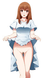 1girls bottomless_skirt breasts brown_eyes brown_hair curvy dress dress_lift female female_only going_commando highres ivolay large_breasts no_panties original pubic_hair pussy simple_background skirt skirt_lift solo white_background