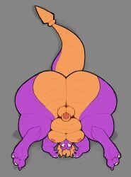 2025 activision anthro anthrofied ass balls belly big_butt bubble_butt claws digitigrade dragon european_mythology femboy flaccid genitals glans grey_background hair hi_res horn huge_butt huge_thighs humanoid_genitalia humanoid_penis iaredumbo looking_at_viewer lying male moobs mythological_creature mythological_scalie mythology nipples non-mammal_balls non-mammal_nipples nude on_back overweight overweight_anthro overweight_male penis presenting presenting_hindquarters scales scalie shadow simple_background solo spread_legs spreading spyro spyro_the_dragon teeth thick_thighs upside-down urethra western_dragon wide_hips