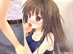 blush censored chiisana_kanojo_no_serenade fellatio female game_cg mosaic_censoring oral sex swimsuit