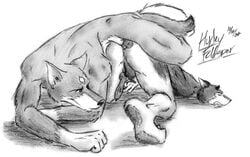 Booru post from rule34.xxx