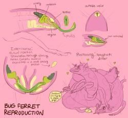 2017 alien anatomical_diagram anatomy animal_genitalia antennae_(anatomy) arthropod arthropod_abdomen arthropod_abdomen_cloaca arthropod_abdomen_genitalia arthropod_abdomen_penis bug_ferret claws cloaca cloacal cloacal_penetration cloacal_penis cross_section dialogue domestic_ferret english_text erection fallopian_tubes feral feral_only foursome fur genitals green_cloaca green_penis group group_sex guts heart_symbol herm herm/herm internal internal_testicles intersex intersex/intersex intestines jayrockin mammal mandibles monochrome multi_leg multi_limb multiple_images mustelid musteline mutual_penetration oof organs ovaries pawpads penetration penis pink_background restricted_palette ribbed_penis runaway_to_the_stars sex simple_background sleeping speech_bubble text toe_claws true_musteline urethra vaginal_penetration weasel whiskers