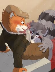 anthro ass ball_sniffing balls beret black_eyes blush brown_body brown_fur clothed clothed_anthro clothing coontail coontail_v2 duo erection eye_contact flushed foreskin fur genitals grey_body grey_fur hat headgear headwear hi_res jacket leather leather_clothing leather_jacket leather_topwear long_foreskin looking_at_another male male/male mammal mcfan musk mustelid musteline nude_male onomatopoeia orange_body orange_fur penis pink_nose procyonid raccoon shaking sniffing sound_effects text topwear true_musteline weasel weekly