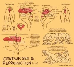 2022 alien all_sixes anatomical_diagram anatomy anus ass ass_to_ass big_clitoris butt_shot centaur_(rtts) chode clitoris cross_section english_text erection eye_contact female female/female genitals group heart_symbol hi_res hooves internal_testicles jayrockin kidney looking_at_another male male/female monochrome multiple_images organs ovaries penetration penis pillow pink_anus pink_clitoris pink_penis pink_pussy proboscis_(anatomy) pussy restricted_palette runaway_to_the_stars sex spinnerets tapering_penis taur text thick_penis tribadism trunk_(anatomy) tusks unguligrade unusual_anatomy unusual_genitalia_placement uterus vaginal_penetration vaginal_penetration