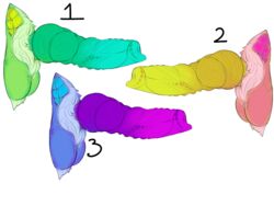 2013 canine canine_penis disembodied_penis dog-bone double_knot erection fu-dog green_penis male male_only penis purple_penis yellow_penis