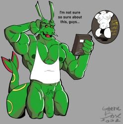 anthro balls bara bottomless flaccid genericboxhead male male_only muscles muscular nintendo pantsless penis pokemon rayquaza solo solo_male