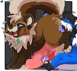 anal animal_genitalia animal_penis balls big_balls big_penis bodily_fluids canid canine canine_genitalia canine_penis canis cloufy cobalt_(texiefox) duo ear_piercing eyebrow_piercing facial_piercing feral feral_on_feral genital_fluids genitals hi_res huge_balls huge_cock hyper hyper_balls hyper_genitalia hyper_penis kita_tanuki knot knotted_penis male male/male mammal oral paws penis piercing precum raccoon_dog raised_paw raised_tail rimming rimming_male saliva sex tail tanuki wolf