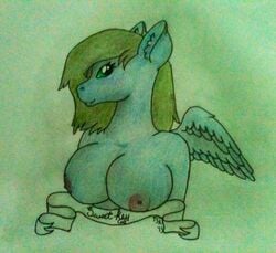 anthro big_breasts blue_fur breasts bust chubby equine female friendship_is_magic green_eyes green_hair hair horse jackalopedewey looking_at_viewer my_little_pony nipples original_character pegasus plain_background pony ribbons sketch solo sweet_key topless voluptuous wings