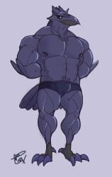 anthro avian balls bara bulge corviknight flaccid genericboxhead male male_only muscles muscular penis pokemon solo solo_male underwear underwear_only