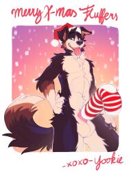 anthro arm_tuft balls black_body black_claws black_fur blue_eyes brown_body brown_fur canid canine canis chest_tuft christmas christmas_clothing christmas_headwear claws clothing cock_sock domestic_dog elbow_tuft erection fangs finger_claws footwear front_view fur genitals glistening glistening_eyes gradient_background hand_on_hip hat head_tuft headgear headwear hi_res holidays looking_at_viewer male mammal narrowed_eyes nude open_mouth penis penis_clothing pink_penis portrait red_clothing red_hat red_headwear santa_hat shoulder_tuft simple_background snow snowing socks solo teeth three-quarter_portrait tongue tongue_out tuft white_balls white_body white_fur yookie