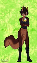 2019 alishka anthro black_hair bottomless brown_body brown_fur clothed clothing digital_media_(artwork) eyebrows eyelashes female fur hair hi_res mammal pussy rodent sciurid solo standing