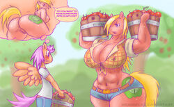 anthro anus apple areolae ass big_ass big_macareina_(mlp) big_macintosh_(mlp) blush breasts cleavage clothed clothing cutie_mark duo equine erect_nipples female friendship_is_magic fruit hair_on_head hasbro horse huge_breasts large_breasts male mammal my_little_pony navel nipples outside pegasus pony pussy rule_63 scootaloo_(mlp) scootaroll_(mlp) smile weasselk wing_boner wings