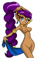 1girls alternate_costume blue_eyes breasts dancer_outfit dancer_shantae dark_skin earrings edit full_frontal_nudity jewelry looking_at_viewer lots_of_jewelry navel nipples nude nude_filter photoshop purple_hair pussy shantae shantae_(character) smile smooth_skin solo solo_female very_long_hair wayforward