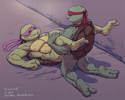 anal baraqueen brothers donatello duo furry furry_only gay incest male raphael reptile scalie sibling teenage_mutant_ninja_turtles turtle