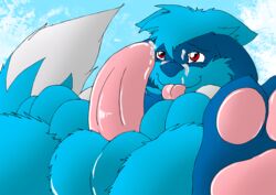 balls cum furry lying male male_only nintendo nude on_back penis pokemon riolu smile solo spread_legs spreading tongue tongue_out umpherio umpherio_(umpherio) video_games