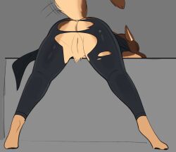 aggressykhressy bending_over bent_over bent_over_table female female_focus female_only furry furry_female furry_only ripped_clothing ripped_clothing ripped_pants
