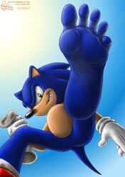 anthro ass barefoot furry hedgehog male_only pov riproarrex sonic_(series) sonic_the_hedgehog tail