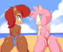 2014 amy_rose anthro ass beach bikini blue_eyes brown_fur chipmunk clothed clothing cloud cloudz duo female fur gloves green_eyes hair half-dressed happy headband looking_at_viewer mammal outside presenting pussy raised_tail rodent sally_acorn sand sea seaside sega skimpy sky smile sonic_(series) spreading swimsuit video_games water