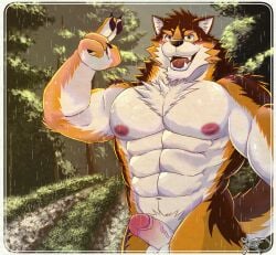 abs anthro balls barrel_(live_a_hero) blush canid canine canis casual_erection casual_nudity deltoids erection forest forest_background fur genitals hi_res humanoid_genitalia humanoid_hands humanoid_penis lifewonders live_a_hero looking_at_viewer male mammal muscular muscular_anthro muscular_male nature nature_background navel nipples nude outdoor_nudity outside pecs penis plant smile solo tail tree wolf wolfy_eduard