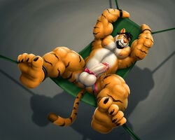 1boy anthro balls bound braford erection feline fur furry male male_only mammal muscles penis solo tiger