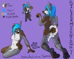 2014 anthro australian_shepherd blue_hair breasts canine curled_tail eyewear female furry furry_only glasses hair heterochromia husky looking_at_viewer mammal model_sheet nipples silvermidnight silvermidnight_(character) spotted