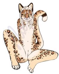 annoying_watermark anthro breasts feline female fur furry leopard looking_at_viewer mammal maxxmissions nude pussy sitting small_breasts solo watermark