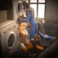 1:1 3d_(artwork) 3d_animation animal_genitalia animal_penis animated anthro anthro_on_anthro anthro_penetrated anthro_penetrating anthro_penetrating_anthro appliance arm_grab arms_above_head ass athletic athletic_anthro athletic_male blender_(artwork) blender_eevee_(artwork) blue_body blue_fur canid canine canine_genitalia canine_penis canis chase97 digital_media_(artwork) duo erection eye_roll fellatio fluffy fluffy_tail fox from_front_position fur fuzzy genitals holding_arms holding_both_arms inside kairo_(yeenkairo) knot laundry laundry_machine male male/male male_penetrated male_penetrating male_penetrating_male mammal navel no_sound nude on_ground oral oral_penetration orange_body orange_fur penetration penile penis ronnoyeen sex sitting standing tail tail_motion tailwag thrusting window wolf wrist_grab
