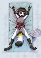 ankles_tied anthro arctic_fox areola blood bodily_fluids bound breasts canid canine canis clitoral_hood crying digital_media_(artwork) disembowelment feet female female_peeing fingers fox fur genital_fluids genitals gore guts hair hands_tied hi_res intestines laceration lying mammal medical_instrument nipples nude on_back open_mouth organs peeing saliva saliva_string scalpel scientific_instrument slowderpyguy snuff solo spread_legs spreading surgical_instrument surgical_operation tail tears teeth toes tongue tongue_out torture true_fox urine urine_pool vulva wetting