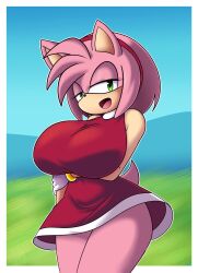 2d 2d_(artwork) 2d_artwork amy_rose big_ass big_boobies big_breasts big_butt big_hips big_thighs big_titties bracelet bracelets breasts_bigger_than_head busty busty_female busty_girl clothed curvaceous curvaceous_female curvaceous_figure curvy curvy_body curvy_female curvy_figure curvy_hips davidsillo123 diadem diadema eyelashes gloves green_eyes half-closed_eyes hedgehog hedgehog_ears hedgehog_girl hedgehog_humanoid hourglass_figure hourglass_figured_female huge_boobs huge_breasts open_smile pink_fur pink_hair red_dress sega sonic_(series) sonic_the_hedgehog_(series) thick_ass thick_butt thick_hips thick_legs thick_thighs thin_waist voluptuous voluptuous_anthro voluptuous_body voluptuous_female