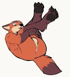 anus balls canid canine disney fox fur genitals hi_res holding_legs_up jrjresq legs_up looking_down male mammal nick_wilde orange_body orange_fur pawpads presenting presenting_anus simple_background tail white_background zootopia