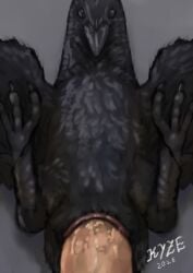 ambiguous_gender ambiguous_penetrated animal_genitalia avian avian_butt beak bird black_body black_feathers claws cloaca cloacal cloacal_penetration corvid corvus_(genus) crow duo el_kyze erection feathers feral feral_penetrated genitals hi_res human human_on_feral human_penetrating human_penetrating_feral humanoid_genitalia humanoid_penis interspecies male male/ambiguous male_on_feral male_penetrating male_penetrating_ambiguous mammal oscine passerine penetration penis scuted_legs scutes sex simple_background size_difference smaller_penetrated toe_claws zoophilia