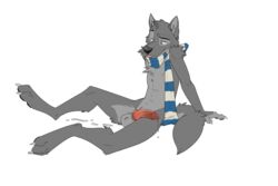 1boy animal_genitalia anthro balls canine canine_penis cum dragondrawer erection fur furry knot male male_only mammal november penis plain_background scarf solo wolf