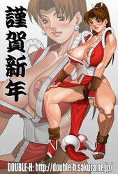 double_h fatal_fury female female_only human king_of_fighters mai_shiranui snk solo tagme