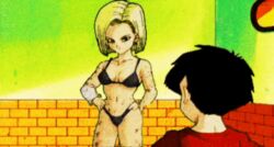 android_18 animated dragon_ball dragon_ball_z edit krillin