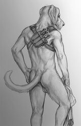 1boy 2014 anthro ass back balls canine fur looking_at_viewer male male_only mammal nude rukis solo standing