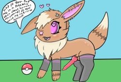 balls blush brown_body brown_fur canid canine eevee fan_character female feral fur generation_1_pokemon genitals hair male male/male mammal nintendo open_mouth penis pokemon pokemon_(species) ratboyheart_(artist) simple_background solo tail text