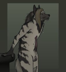 anatomically_correct animal_genitalia animal_penis anthro balls bodily_fluids closed_eyes erection genital_fluids genitals hair hi_res hyaenid_penis hyena male mammal penis precum solo strana_(artist) strana_(character) striped_hyena stripes whiskers