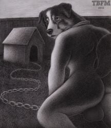 anthro ass back_turned backsack backyard balls canine chain chains collar detailed_background doghouse fence fur furry grass greyscale looking_back male male_only mammal monochrome outside realistic solo tbfm