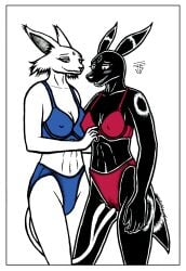 anthro bikini blush border camel_toe clothing dragontears duo eeveelution espeon female female/female generation_2_pokemon hi_res nintendo nipple_outline nipples pokemon pokemon_(species) simple_background swimwear tail two-piece_swimsuit umbreon white_border