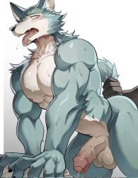 2024 anthro balls beastars blush bodily_fluids canid canine canis chung0_0 duo genital_fluids genitals hi_res humanoid_genitalia humanoid_penis legoshi_(beastars) male mammal muscular muscular_anthro muscular_male nude open_mouth penis precum solo_focus sweat sweatdrop tongue tongue_out wolf