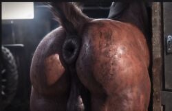 ai_generated balls brown_fur detailed_background dirty_ass feral horse male puffy_anus solo