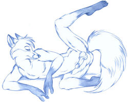 1boy anthro ass balls canine fox fur furry male male_only mammal nduli penis presenting solo