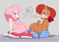 2014 all_fours amy_rose anthro ass ball_gag bondage breasts chipmunk cloudz dildo double_dildo exposed exposed_torso female footwear furry gag gloves handwear hedgehog humanoid looking_at_viewer male mammal mostly_nude penetration pussy rodent sally_acorn sega sex sex_toy sexual_objectification shoes sideboob sonic_(series) sonic_the_hedgehog vaginal vaginal_penetration yuri