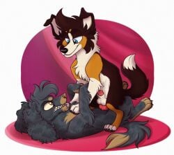 anal anal_penetration angry animal_genitalia animal_penis bird_dog border_collie canid canine canine_genitalia canine_penis canis claws collie colored digital_drawing_(artwork) digital_media_(artwork) domestic_dog duo erection eye_contact feral feral_on_feral feral_penetrated feral_penetrating feral_penetrating_feral fur genitals herding_dog hunting_dog knot knotted_penis looking_at_another lying male male/male male_penetrated male_penetrating male_penetrating_male mammal mimi-fox multicolored_body multicolored_fur nude on_back on_bottom on_top pastoral_dog penetration penile penile_penetration penis penis_in_ass sex shaded sheath sheepdog sitting sitting_on_another snout spaniel tail teeth