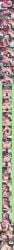 ai_generated anal anal_penetration anal_sex anus ass blindfold bondage bondage_gear breeding_mount caption comic comic_page cum cum_drip cum_in_ass cum_in_mouth cum_in_pussy cum_inside cum_on_body cum_on_breasts cum_on_face cumshot full-package_futa full_nelson futa_focus futa_on_female futa_with_female futadom futanari gawr_gura gold_ship_(umamusume) hard_sex hardcore hololive hololive_english horse horse_ears horse_girl horse_penis horse_tail horsecock horsecock_futa horsecock_on_humanoid image_set impregnation impregnation_attempt impregnation_request kissing licking_penis madamweaver mori_calliope muscular_female musk musk_clouds musky musky_balls rape size_difference squirting standing standing_sex sweat sweatdrop sweating sweaty sweaty_ass sweaty_balls sweaty_body sweaty_breasts sweaty_butt umamusume umamusume_pretty_derby vagina vaginal vaginal_fluids vaginal_insertion vaginal_juices vaginal_masturbation vaginal_penetration vaginal_sex virtual_youtuber vtuber vtuber_persona vtuberfanart vtubers wet wet_body wet_pussy wet_skin