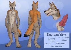 1boy 2014 animal_genitalia anthro balls canine canine_penis chest_tuft coyote digitigrade ear_piercing equinoxyote erection fur green_eyes hufnaar knot male male_only mammal model_sheet penis piercing sheath solo tuft