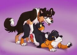 2019 animal_genitalia animal_penis bodily_fluids border_collie brown_pawpads canid canine canine_genitalia canine_penis canis collar collar_only collar_tag collie colored digital_drawing_(artwork) digital_media_(artwork) domestic_dog duo erection feral feral_on_feral floppy_ears from_behind_position fur genital_fluids genitals herding_dog intraspecies looking_at_another looking_pleasured male male/male mammal mating_grip mimi-fox mounting multicolored_body multicolored_fur nude open_mouth pastoral_dog pawpads penis precum quadruped sex shaded sheepdog smile snout tongue tongue_out