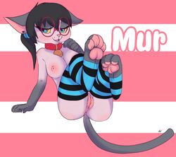 anthro anus breasts eyewear feline female fur furry glasses hindpaw looking_at_viewer mammal murcat nude paws pinup pose pussy solo striped_socks