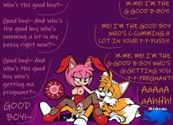amy rose from sonic (series)
