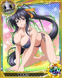 akeno_himejima animius bikini black_hair high_school_dxd purple_eyes swimsuit